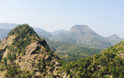 Reasons to Visit Pachmarhi